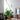265_Long_Arm_Wall_Lamp_9