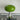 Bauhaus Apple Table Lamp 13