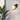 Bony_Wall_Lamp_5