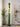 Cactus_Floor_Lamp_7