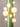 Cactus_Floor_Lamp_8