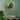 Modern_Round_Wall_Lamp_9