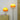 Mushroom_Floor_Lamp_8