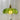 Petal_Glass_Pendant_Light_06