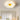 Six_Petal_Ceiling_Lights_21