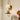 Walnut_Sconce_Wall_Lamp_4