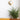 Zipper_Wall_Lamp_5